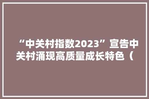 “中关村指数2023”宣告中关村涌现高质量成长特色（附一图读懂）