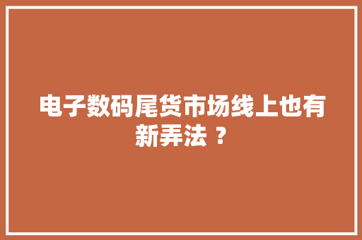 电子数码尾货市场线上也有新弄法 ？