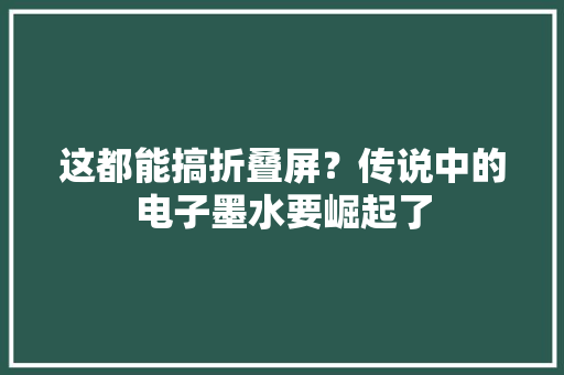 这都能搞折叠屏？传说中的电子墨水要崛起了