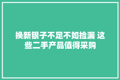 换新银子不足不如捡漏 这些二手产品值得采购
