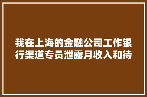 我在上海的金融公司工作银行渠道专员泄露月收入和待遇