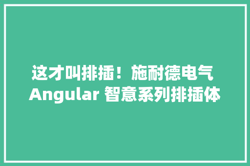 这才叫排插！施耐德电气 Angular 智意系列排插体验 这才叫排插！施耐德电气 Angular 智意系列排插体验 互联通信