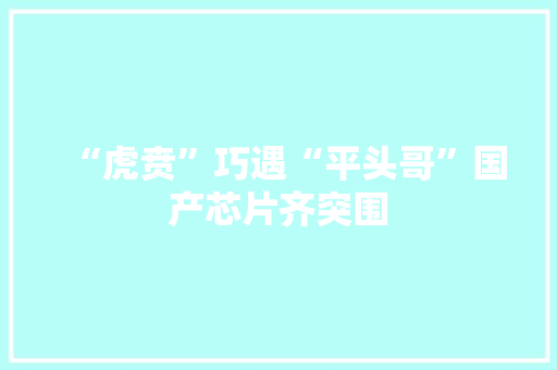“虎贲”巧遇“平头哥”国产芯片齐突围