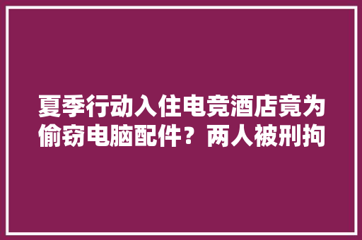 夏季行动入住电竞酒店竟为偷窃电脑配件？两人被刑拘！