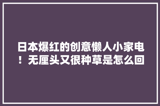 日本爆红的创意懒人小家电！无厘头又很种草是怎么回事？