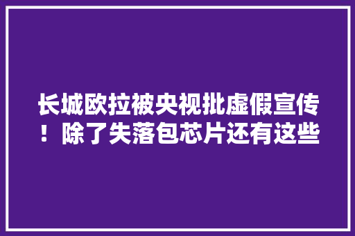 长城欧拉被央视批虚假宣传！除了失落包芯片还有这些「罪」