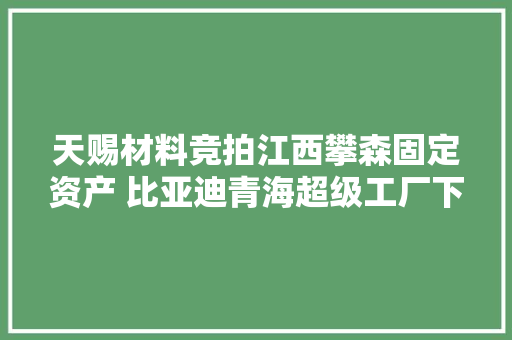 天赐材料竞拍江西攀森固定资产 比亚迪青海超级工厂下线