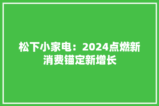 松下小家电：2024点燃新消费锚定新增长