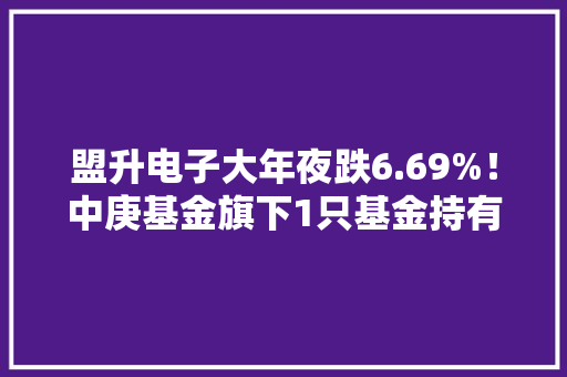 盟升电子大年夜跌6.69%！中庚基金旗下1只基金持有