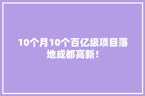 10个月10个百亿级项目落地成都高新！
