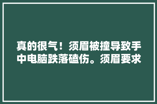 真的很气！须眉被撞导致手中电脑跌落磕伤。须眉要求赔偿遭拒绝 真的很气！须眉被撞导致手中电脑跌落磕伤。须眉要求赔偿遭拒绝 智能科技