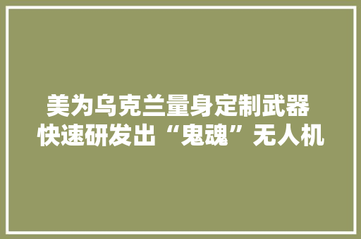美为乌克兰量身定制武器 快速研发出“鬼魂”无人机