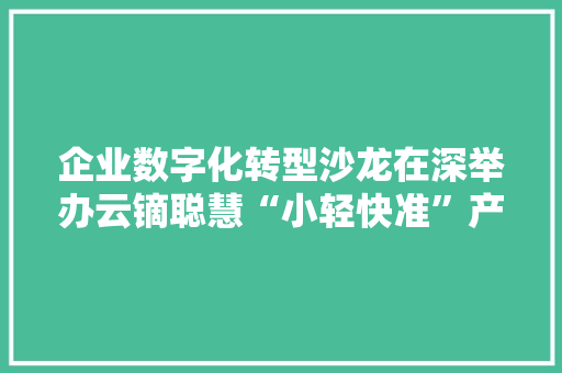 企业数字化转型沙龙在深举办云镝聪慧“小轻快准”产品广受好评