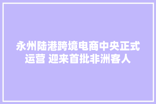 永州陆港跨境电商中央正式运营 迎来首批非洲客人 永州陆港跨境电商中央正式运营 迎来首批非洲客人 智能科技