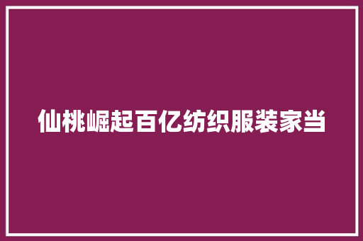 仙桃崛起百亿纺织服装家当