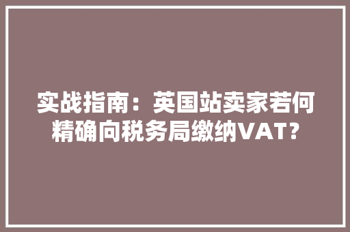 实战指南：英国站卖家若何精确向税务局缴纳VAT？