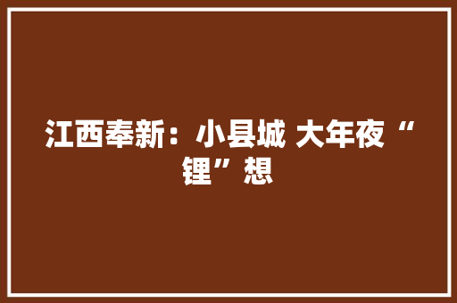 江西奉新：小县城 大年夜“锂”想