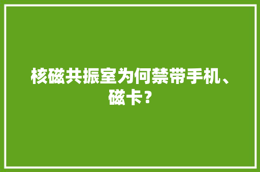 核磁共振室为何禁带手机、磁卡？