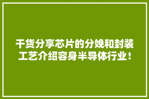 干货分享芯片的分娩和封装工艺介绍容身半导体行业！