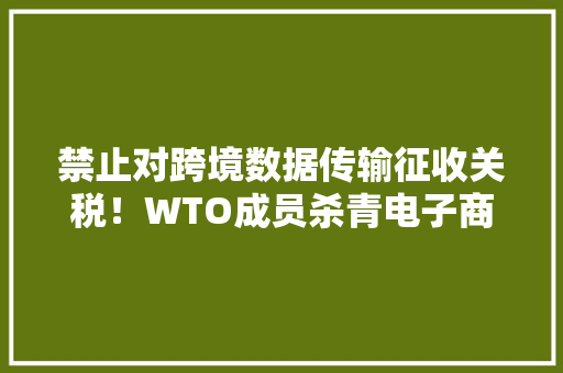 禁止对跨境数据传输征收关税！WTO成员杀青电子商务协议美方为何不支持 禁止对跨境数据传输征收关税！WTO成员杀青电子商务协议美方为何不支持 智能家居