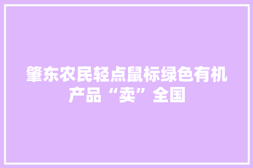 肇东农民轻点鼠标绿色有机产品“卖”全国 肇东农民轻点鼠标绿色有机产品“卖”全国 智能科技