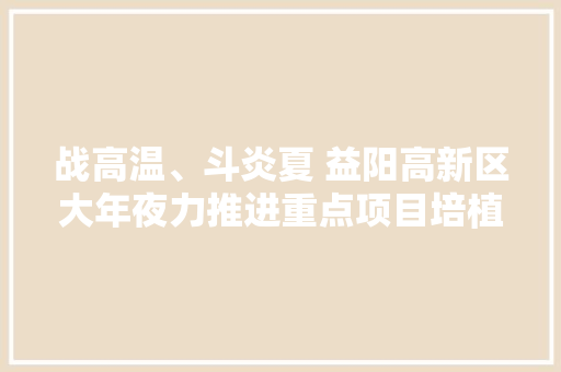 战高温、斗炎夏 益阳高新区大年夜力推进重点项目培植 战高温、斗炎夏 益阳高新区大年夜力推进重点项目培植 智能家居