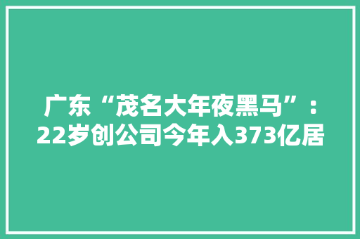 广东“茂名大年夜黑马”：22岁创公司今年入373亿居深圳平易近企22强 广东“茂名大年夜黑马”：22岁创公司今年入373亿居深圳平易近企22强 智能科技