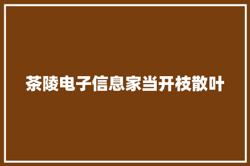 茶陵电子信息家当开枝散叶