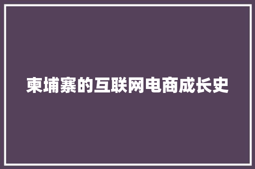 柬埔寨的互联网电商成长史