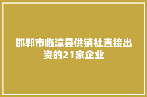 邯郸市临漳县供销社直接出资的21家企业