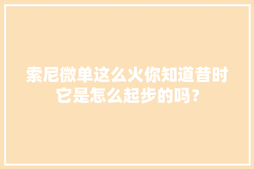 索尼微单这么火你知道昔时它是怎么起步的吗？ 索尼微单这么火你知道昔时它是怎么起步的吗？ 人工智能