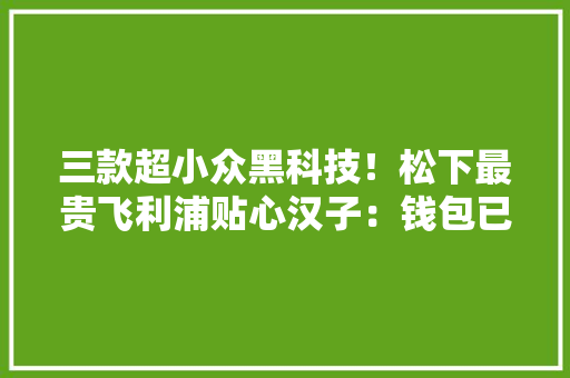 三款超小众黑科技！松下最贵飞利浦贴心汉子：钱包已掏空...