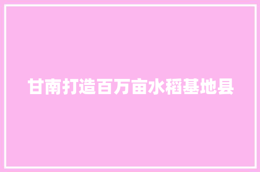甘南打造百万亩水稻基地县
