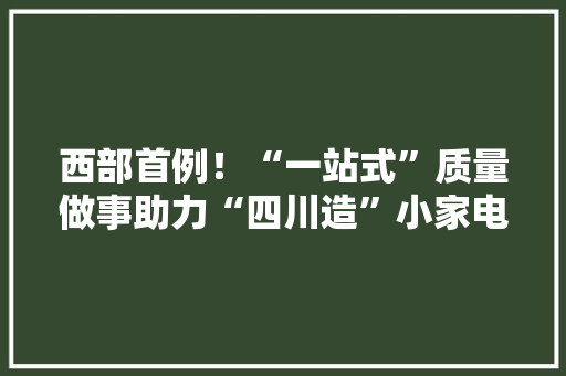 西部首例！“一站式”质量做事助力“四川造”小家电出口欧盟澳洲