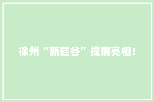 徐州“新硅谷”提前亮相！