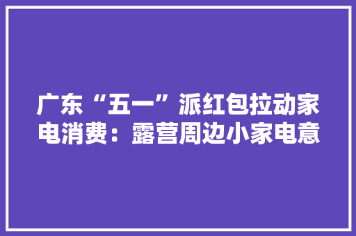 广东“五一”派红包拉动家电消费：露营周边小家电意外走红