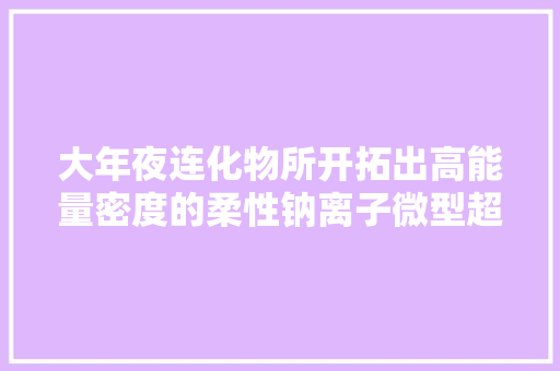 大年夜连化物所开拓出高能量密度的柔性钠离子微型超级电容器