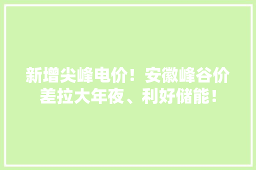 新增尖峰电价！安徽峰谷价差拉大年夜、利好储能！