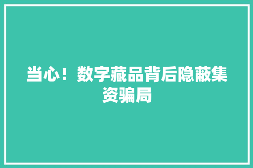 当心！数字藏品背后隐蔽集资骗局