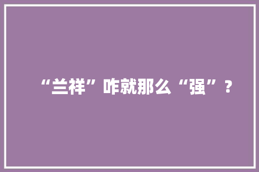 “兰祥”咋就那么“强”？