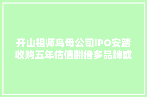 开山祖师鸟母公司IPO安踏收购五年估值翻倍多品牌或成掣肘