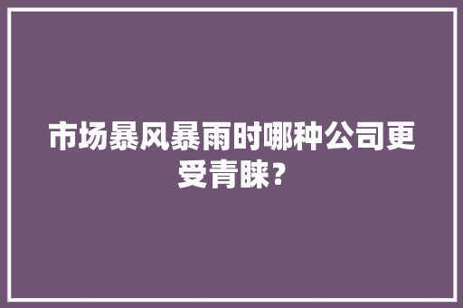 市场暴风暴雨时哪种公司更受青睐？ 市场暴风暴雨时哪种公司更受青睐？ 人工智能