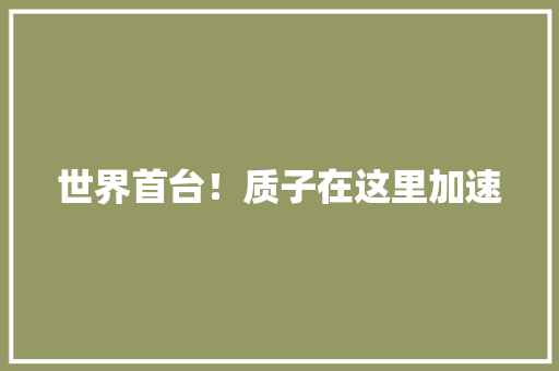世界首台！质子在这里加速