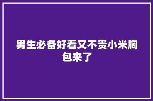 男生必备好看又不贵小米胸包来了