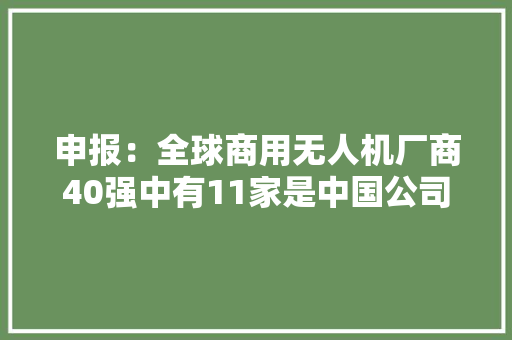 申报：全球商用无人机厂商40强中有11家是中国公司