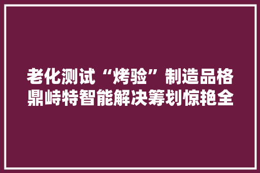 老化测试“烤验”制造品格鼎峙特智能解决筹划惊艳全行业