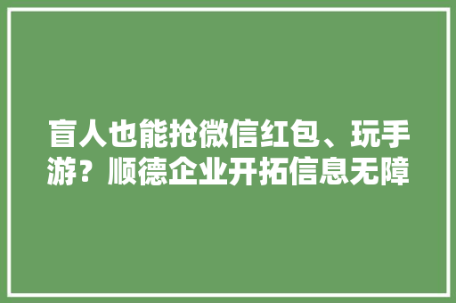 盲人也能抢微信红包、玩手游？顺德企业开拓信息无障碍“黑科技”