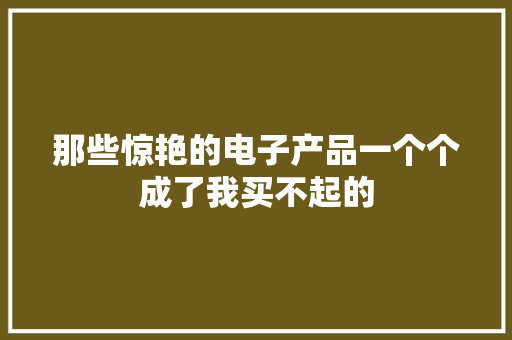 那些惊艳的电子产品一个个成了我买不起的 那些惊艳的电子产品一个个成了我买不起的 人工智能