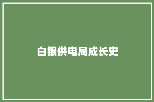 白银供电局成长史 白银供电局成长史 智能家居