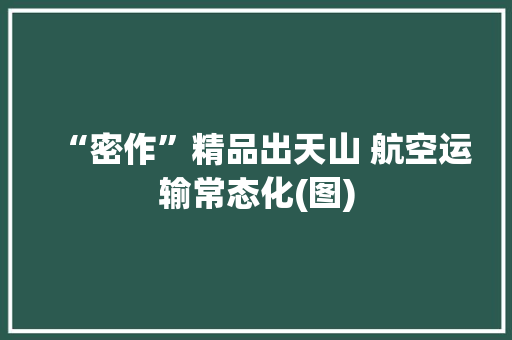 “密作”精品出天山 航空运输常态化(图)